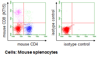 Anti-CD8 (Mouse) mAb-PE