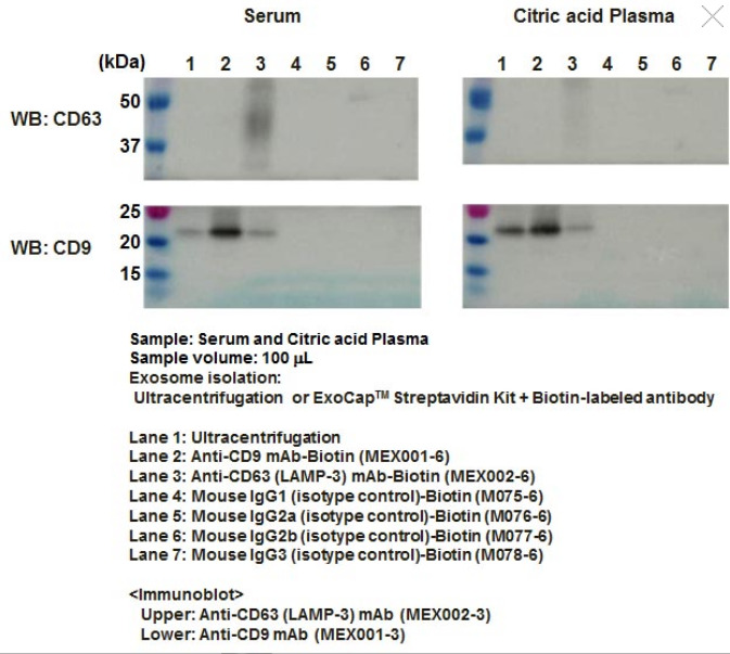 ExoCap Streptavidin Kit