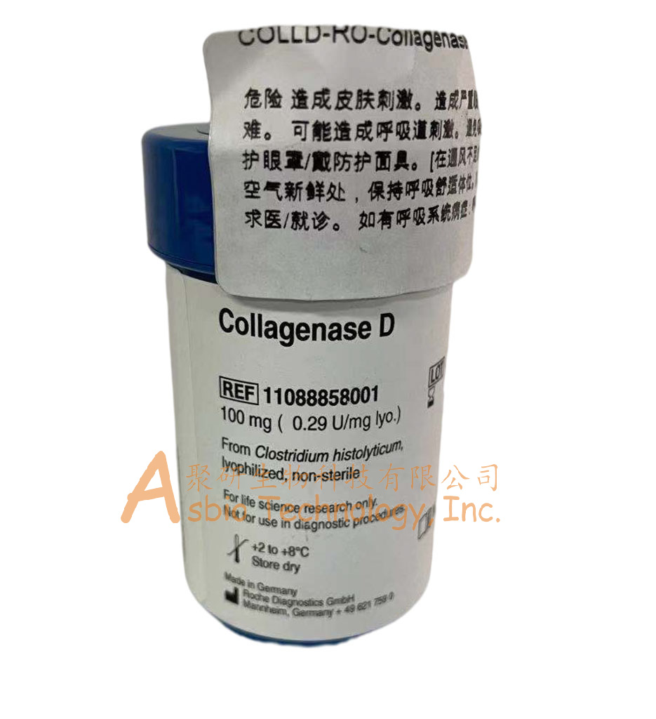 Collagenase D