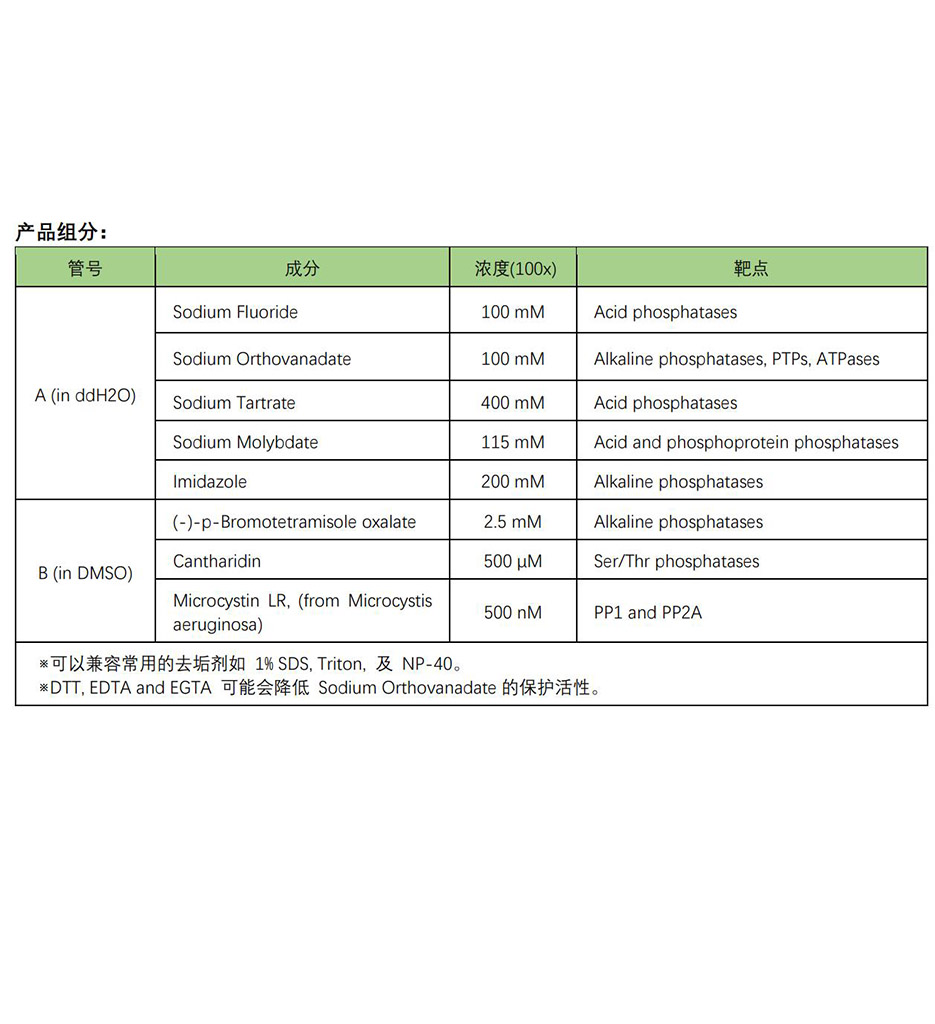 磷酸酶抑制剂混合物组合 (2 Tubes, 100×)