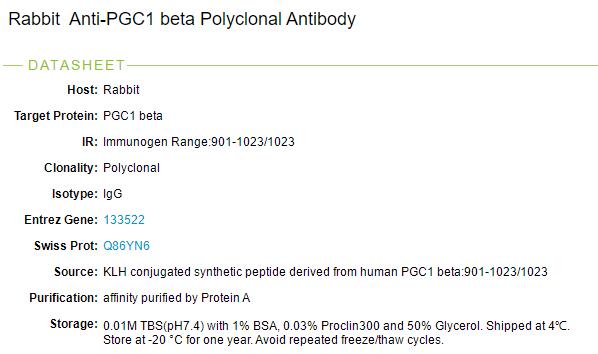 过氧化物酶体增殖物激活受体r辅激活子1b抗体