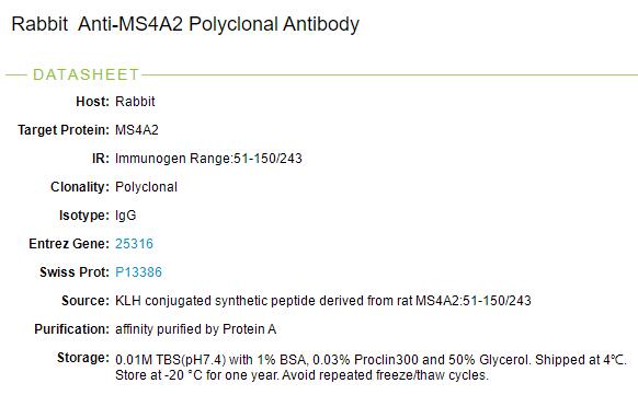 跨膜结构域4亚家族成员2抗体