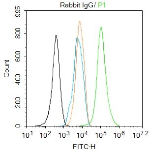 兔IgG（亲和层析纯化)