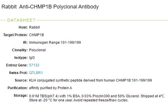染色质修饰蛋白1B抗体