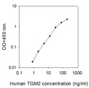 Human Transglutaminase 2/TGM2 ELISA
