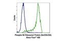 Phospho-S6 Ribosomal Protein (Ser235/236) (2F9) Rabbit mAb (Alexa Fluor 488 Conjugate)